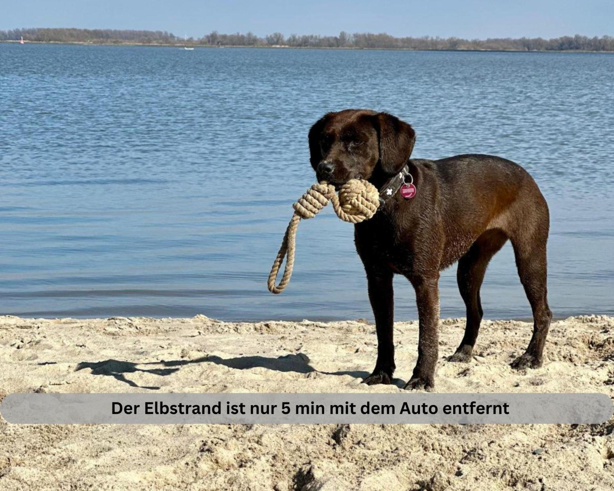 Lodge Of Africa - Einzigartige Themenzimmer, Eingezaeunten Garten, Sauna, Whirlpool & Kamin, Hunde Willkommen, Gasgrill, Voll Ausgestattete Kueche, Grosser Essbereich, Hamburg & Stade In Der Naehe Twielenfleth Zewnętrze zdjęcie