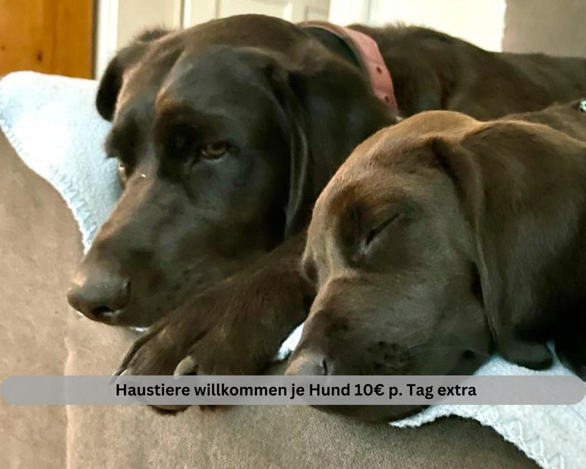 Lodge Of Africa - Einzigartige Themenzimmer, Eingezaeunten Garten, Sauna, Whirlpool & Kamin, Hunde Willkommen, Gasgrill, Voll Ausgestattete Kueche, Grosser Essbereich, Hamburg & Stade In Der Naehe Twielenfleth Zewnętrze zdjęcie
