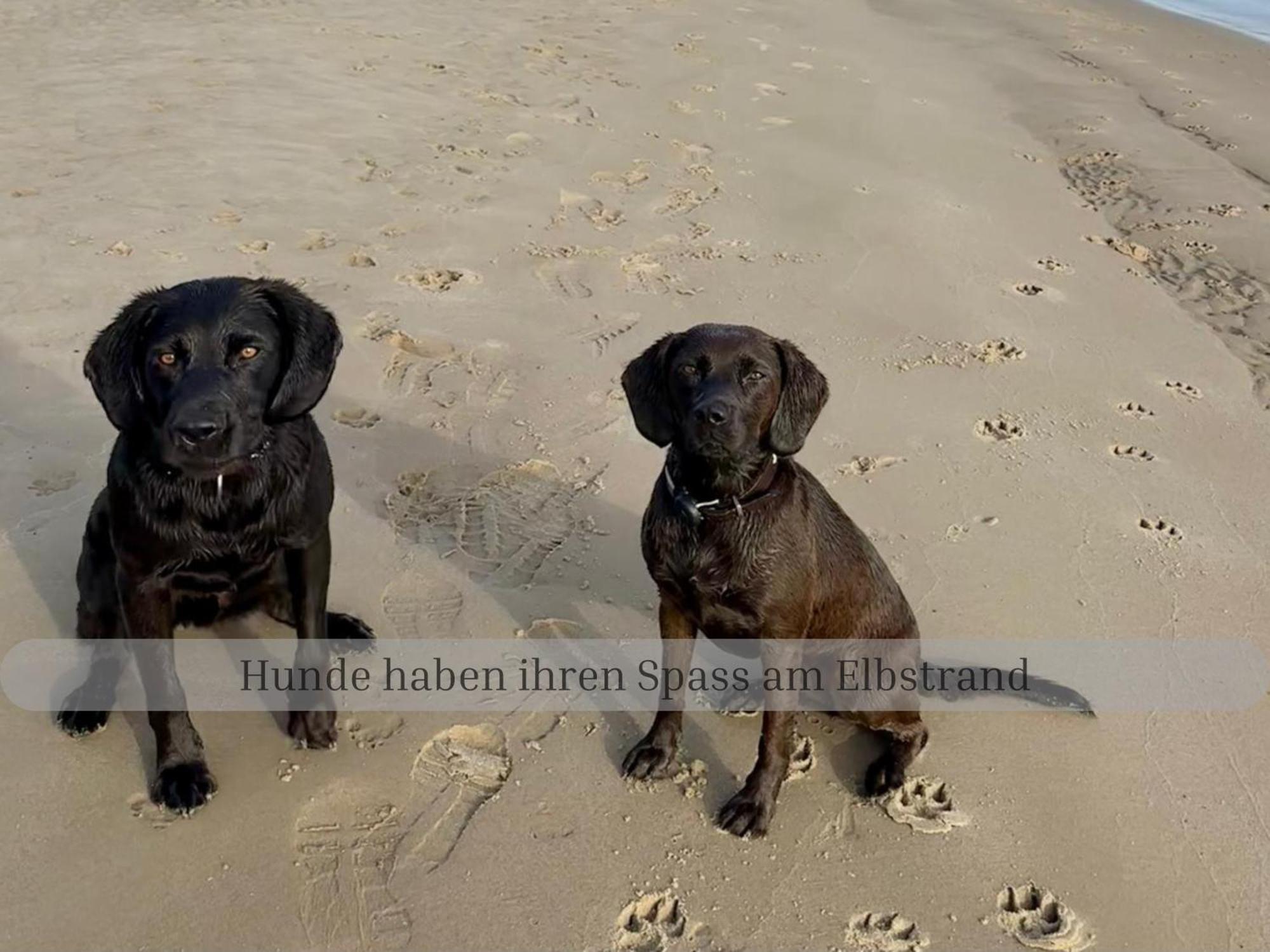 Lodge Of Africa - Einzigartige Themenzimmer, Eingezaeunten Garten, Sauna, Whirlpool & Kamin, Hunde Willkommen, Gasgrill, Voll Ausgestattete Kueche, Grosser Essbereich, Hamburg & Stade In Der Naehe Twielenfleth Zewnętrze zdjęcie